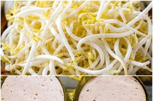 Lâm Đồng tăng cường kiểm tra giò chả, giá đỗ và nhóm thực phẩm nguy cơ cao