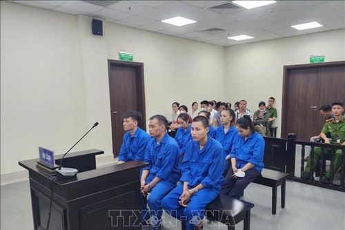 Án phạt nghiêm khắc cho nhóm đối tượng môi giới bán thận