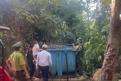 Đặc khu Cồn Cỏ tạm dừng cắm trại, dã ngoại trong và ven rừng để phòng cháy rừng