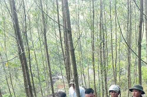 Cứu du khách nước ngoài gặp nạn trên núi