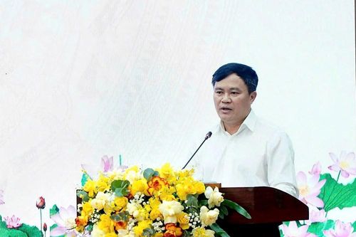 Chủ tịch UBND tỉnh Quảng Ngãi yêu cầu Giám đốc Sở Nông nghiệp và Môi trường nghiêm túc rút kinh nghiệm