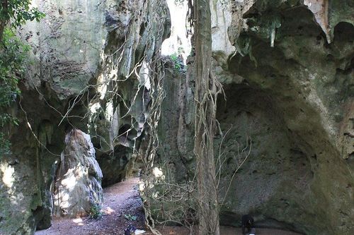 Phát hiện ngôi mộ 78.000 năm, cổ nhất 'quê hương loài người'