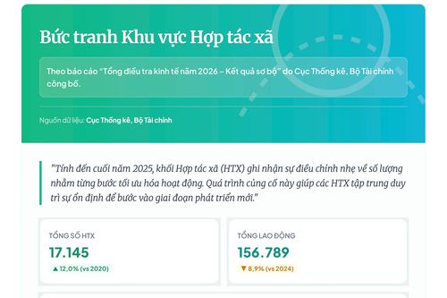 Các HTX đang duy trì quy mô bộ máy tinh gọn