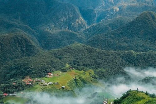 Sa Pa mùa lúa xanh: Chiêm ngưỡng 'tấm thảm xanh' mướt mắt giữa đại ngàn