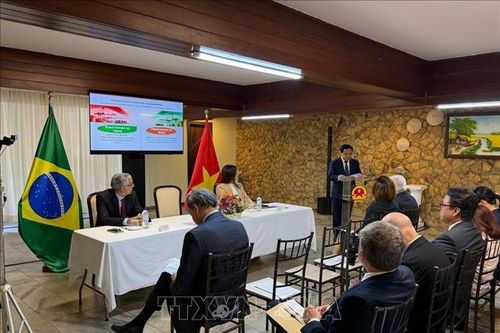 Thúc đẩy trao đổi thương mại, đầu tư Việt Nam - Brazil