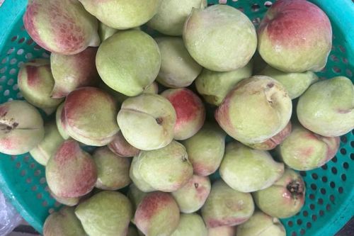 3 nhóm người không nên ăn quả đào