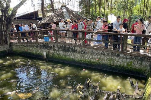 Vĩnh Long: Khai thác tối đa lợi thế 'ba mặt giáp sông, một mặt giáp biển'