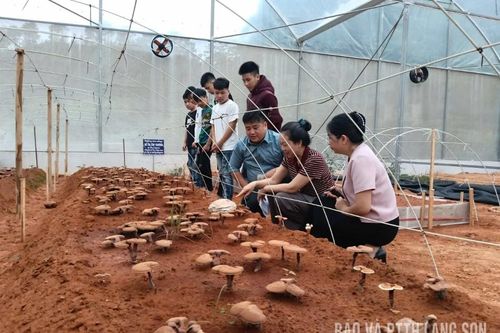 Vững tay nghề, chắc cơ hội việc làm