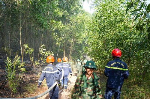 Hơn 300 người xuyên đêm dập cháy rừng ở Huế
