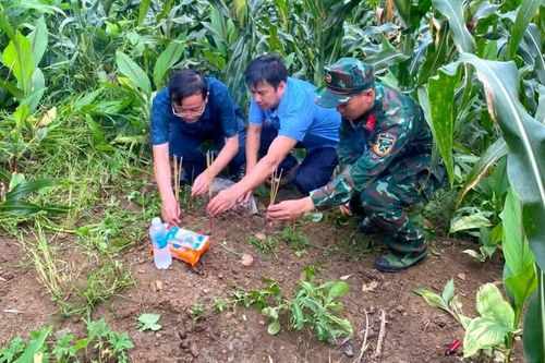 Kết nối được thân nhân liệt sĩ từ thông tin trên tấm bia phát hiện tại Pa Tần