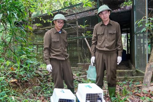 Đồng hành với bảo tồn đa dạng sinh học