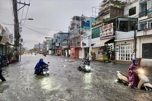 TP Hồ Chí Minh: Đầu tư gần 228 tỷ đồng xây dựng 89 công trình phòng, chống thiên tai