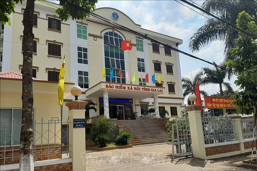 Gia Lai xác thực 99,8% dữ liệu bảo hiểm