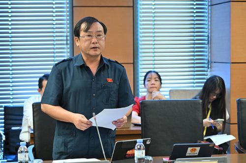 ĐBQH tỉnh góp ý hoàn thiện quy định về thú y, tài nguyên nước và khoáng sản