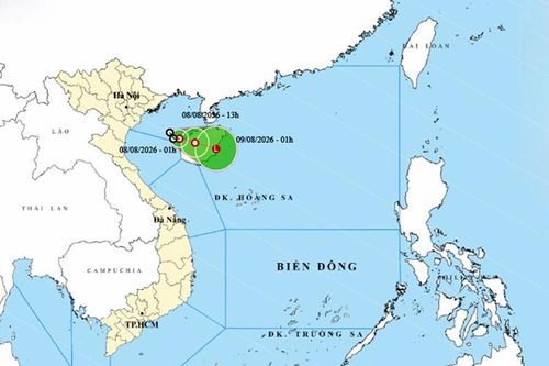 Thời tiết ngày 8/8: Áp thấp nhiệt đới gây biển động mạnh, Trung Bộ và Nam Bộ có mưa dông