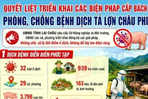 Quyết liệt triển khai các biện pháp cấp bách phòng, chống bệnh dịch tả lợn châu Phi
