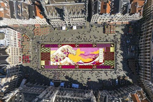 Bỉ: Khai mạc Thảm Hoa Brussels 2026