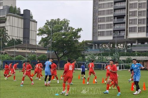 ASEAN Cup 2026: Tuyển Việt Nam sẵn sàng cho thử thách tại Malaysia