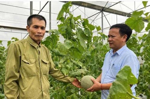 Ứng Thiên (Hà Nội): Tạo diện mạo nông thôn mới từ nông nghiệp xanh, hiện đại