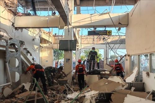Indonesia: Hàng nghìn người chờ viện trợ sau trận động đất
