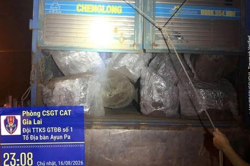 Gia Lai: Tạm giữ xe tải chở hơn 12m3 gỗ không có giấy tờ