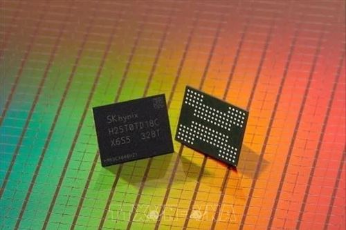 Xuất khẩu Hàn Quốc tháng 8 được dự báo tăng 62,6% nhờ nhu cầu chip AI