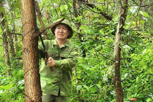 Vượt qua thương tật, vươn lên làm kinh tế giỏi