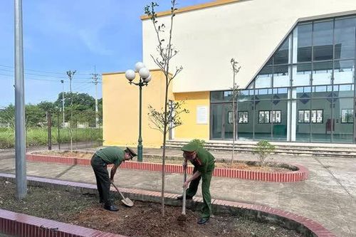 Công an xã Kiều Phú trồng cây xanh tại các trường học