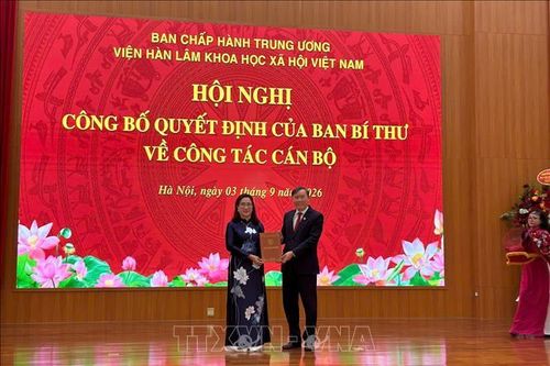 Bà Đinh Thị Mai giữ chức Phó Chủ tịch Viện Hàn lâm Khoa học xã hội Việt Nam
