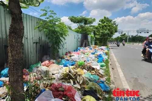 Rác tràn đường vì nạn đổ trộm tại TP Hồ Chí Minh