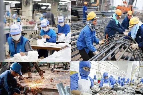 Doanh nghiệp thành lập mới bỏ vốn nhiều hơn nhưng tuyển ít người hơn