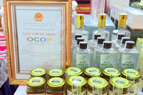 Vị cay từ núi Rẽ Vơng