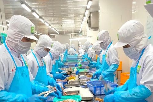 Muốn đi xa, hàng Việt phải vượt 'cửa ải xanh'