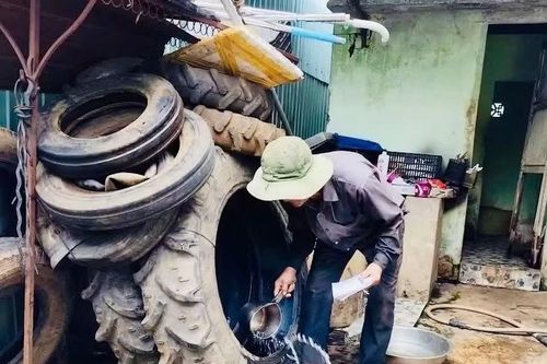 11 xã, phường phía Tây Gia Lai có nguy cơ gia tăng dịch sốt xuất huyết