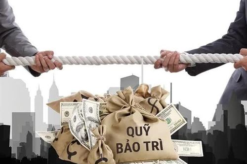 Cư dân cần biết: Những vi phạm nào của chủ đầu tư bị phạt tới 300 triệu đồng?