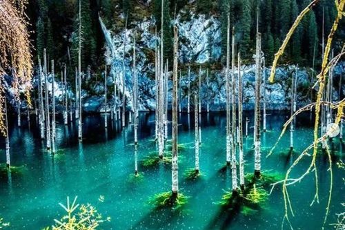 Hồ nước kỳ lạ nhất Trung Á: Cả một khu rừng nằm dưới mặt nước