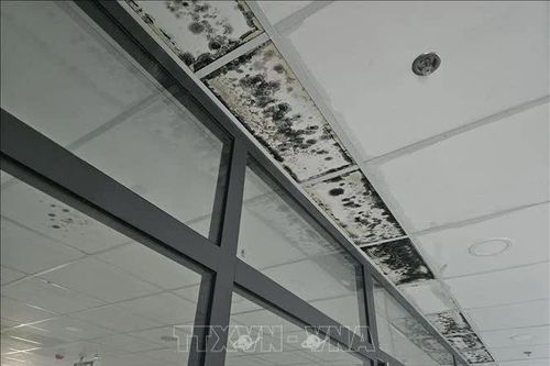 Khắc phục tình trạng thấm, dột tại dự án nâng cấp Bệnh viện Đa khoa Đắk Nông