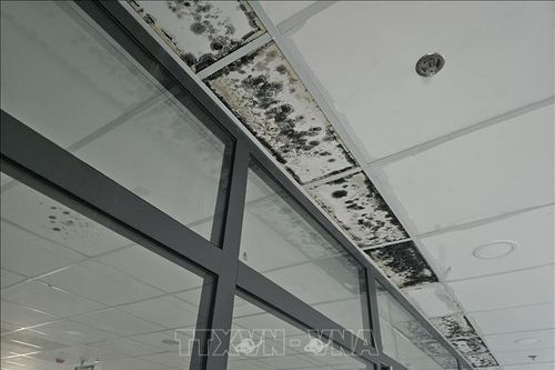 Khắc phục tình trạng thấm, dột tại dự án nâng cấp Bệnh viện Đa khoa Đắk Nông