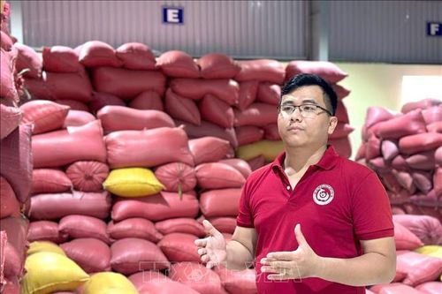 Nông dân trẻ xây chuỗi giá trị, đưa hạt gạo quê hương vươn xa