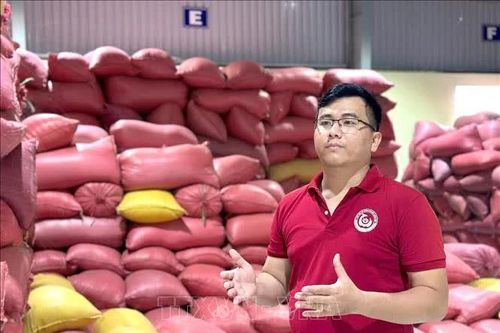 Nông dân trẻ xây chuỗi giá trị, đưa hạt gạo quê hương vươn xa