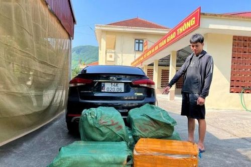 Quảng Ninh: Phát hiện gần 300kg nầm lợn đông lạnh không rõ nguồn gốc.