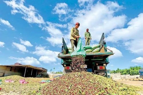 Mở rộng đầu ra nông sản, giảm phụ thuộc mùa vụ