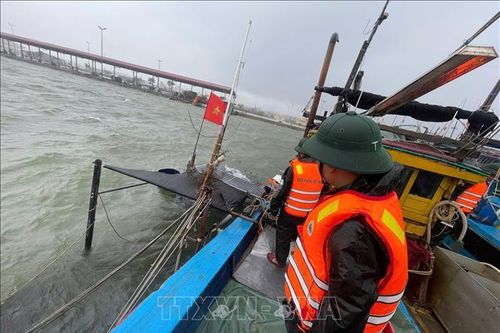 Huế: Tàu cá bị đánh chìm tại khu vực cảng cá Thuận An