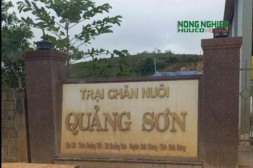 Siết chặt công tác quản lý và bảo vệ môi trường trong lĩnh vực chăn nuôi