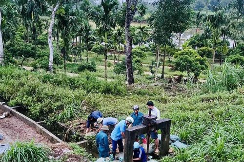 Xã Tây Đô: Mưa lớn làm ảnh hưởng gần 63 ha cây trồng