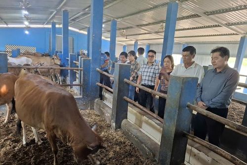 Thúc đẩy chăn nuôi theo hướng kinh tế tuần hoàn