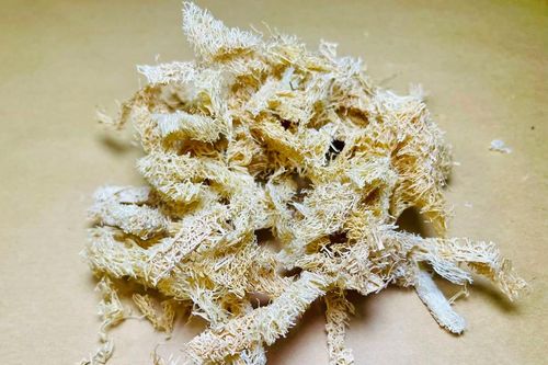 Xơ mướp - thứ tưởng bỏ đi lại là vị thuốc