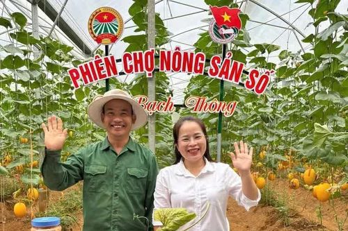 Bí thư xã cùng nông dân 'lên sóng, chốt đơn'