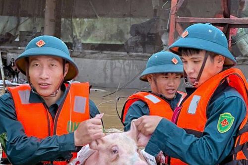 LLVT bám địa bàn, giúp dân trong mưa lũ