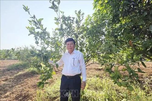 Dựng cơ nghiệp từ vùng đất cằn